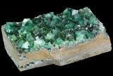 Green, Fluorescent Fluorite Cluster - Rogerley Mine #99454-4